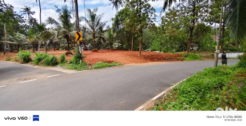 Kothamangalam paingottoor house plots for sale