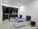No brokerage pg paying guest cleaning wifi gas free with huge balcony