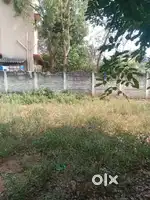 Plot available for sale