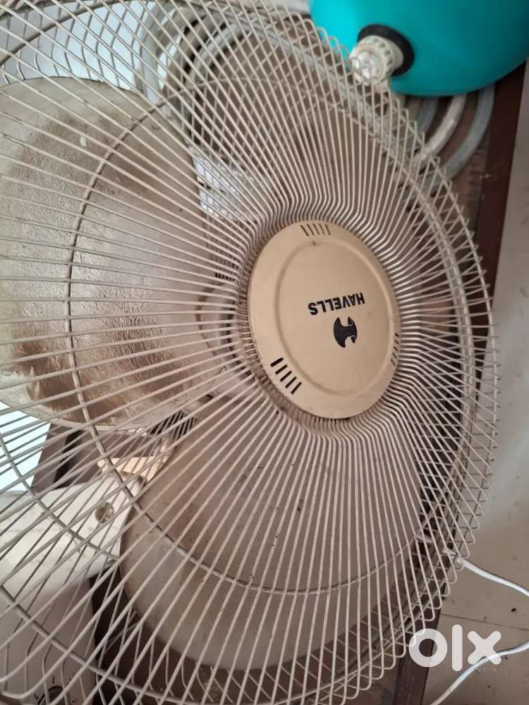 Havels wall fan