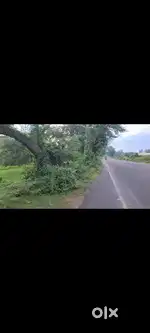 Boinchee, Hooghly জিটি রোডের পাশে তিন শতক জায়গা