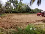 1.5bigha miyadi land for sale Titabar town