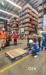 We are handling freshers on warehouse