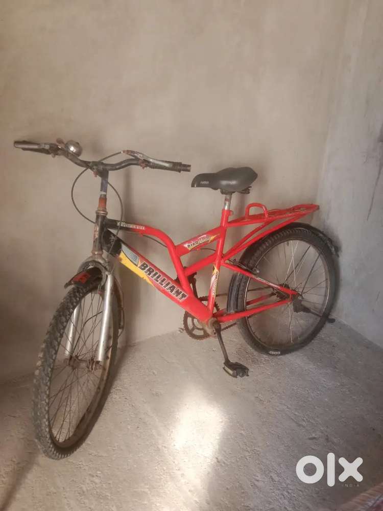 Parrot bike (mountain bike)