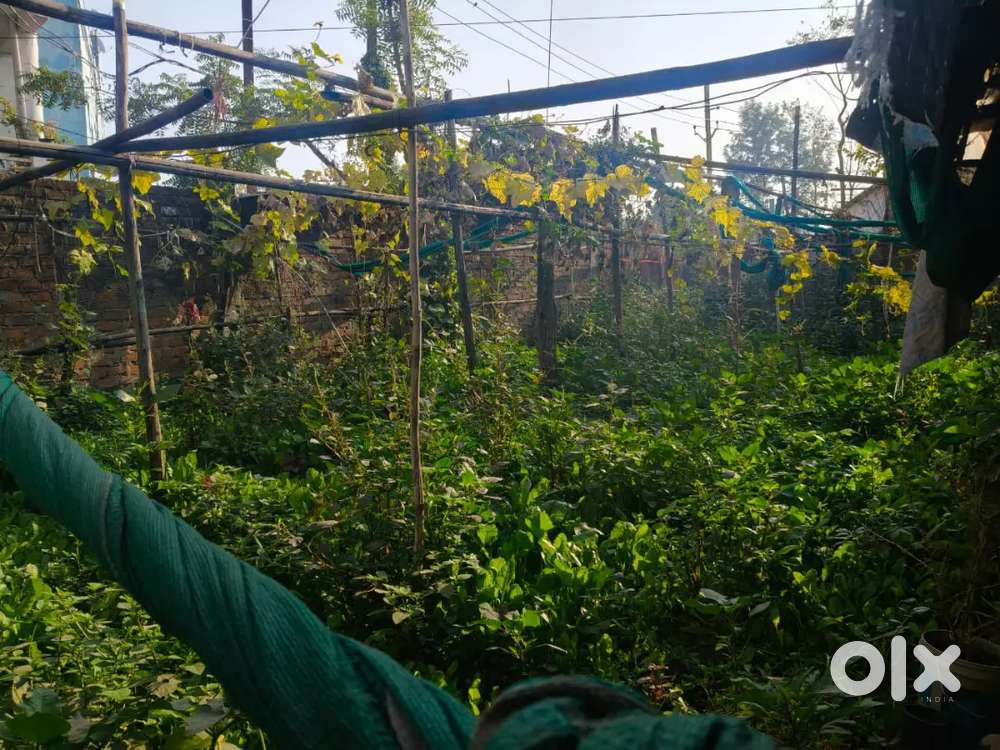 Rajetri nhi ha jo laga usa karbani pardage