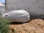 Aapna khud ka Ghar