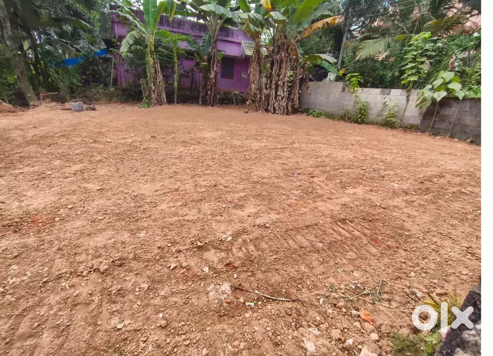 MAIN ROAD KARIYAVATTOM GANDHIPURAM ROAD