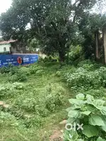 Main road side in Khandapada Trinath chhaka