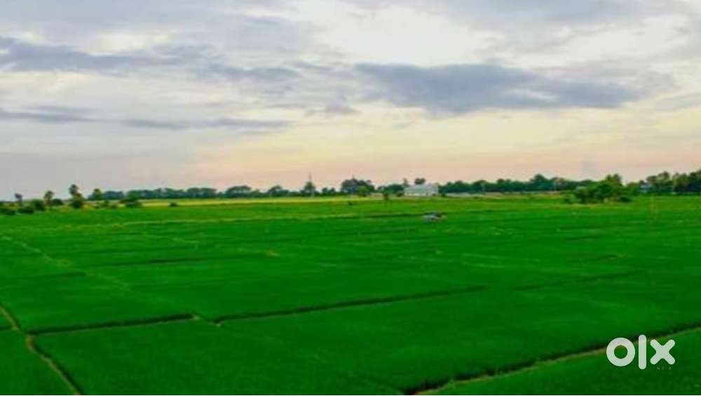 1 acre agriculture land for sale in Muramanda