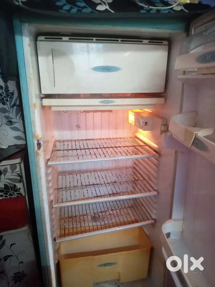 Kelvinator Fridge