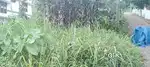 Thiruvallam vandithadam 5.25 cent plot for sale