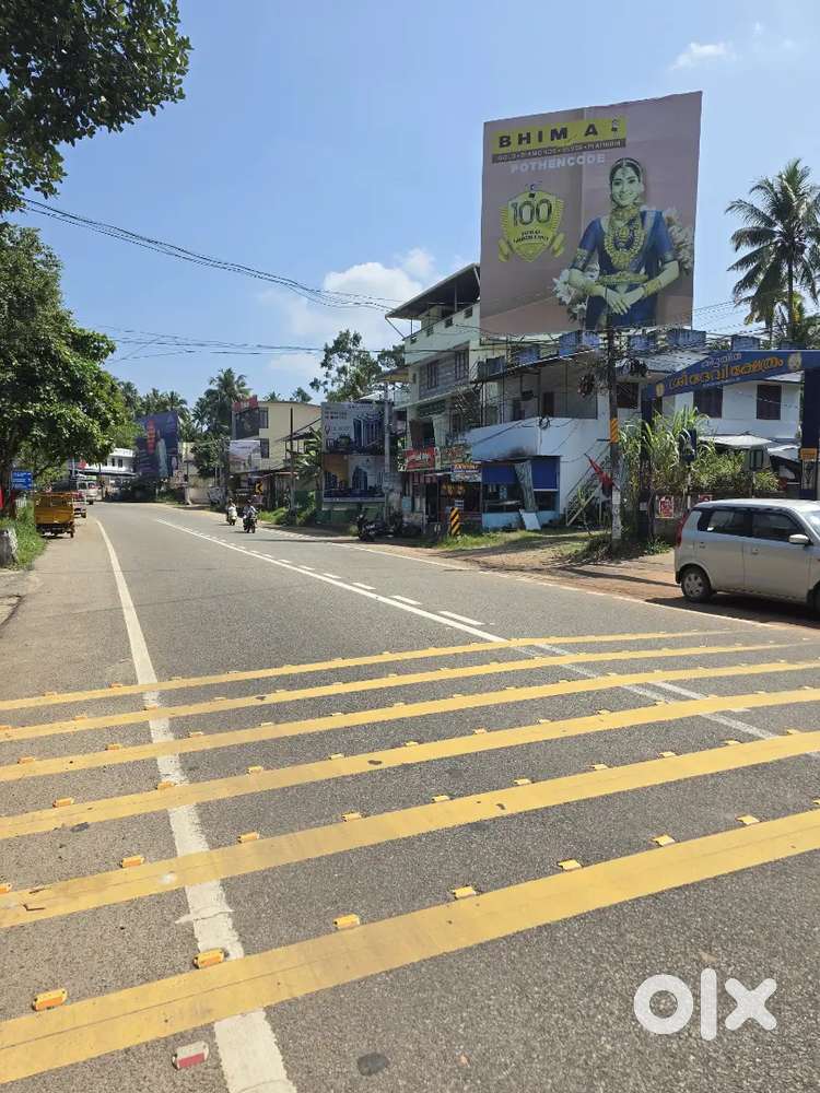 4CENT COMMERCIAL PLOT CHANDAVILA NARIKKAL BYPASS ROAD