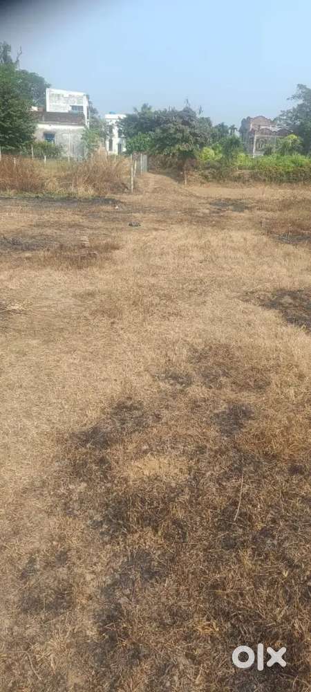 2 katha Plot sale at Gangpur (owner), Burdwan