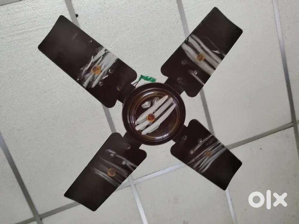 என்னிடம் குறைந்த கட்டணத்தில் fan Repair செய்து தரப்படும்