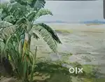 My water colour Paintings