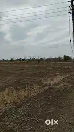4-ACRE PRIME LAND FOR SALE – WARDHA-WAIGAON HIGHWAY, NEAR SELUKATE