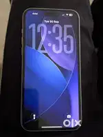 15 plus a one condition , price-₹55000