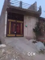 15x55  20 फिट रोड हरिवंशराय से पहले 500 मीटर अंदर  नहर के किनारे