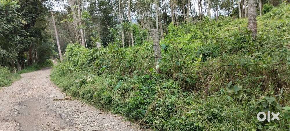 10 Cent Land For Sale in Naratthaan kuzhi, Mukkuttukal, Manjalumoodu