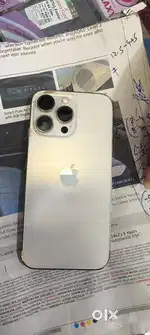 14 pro max