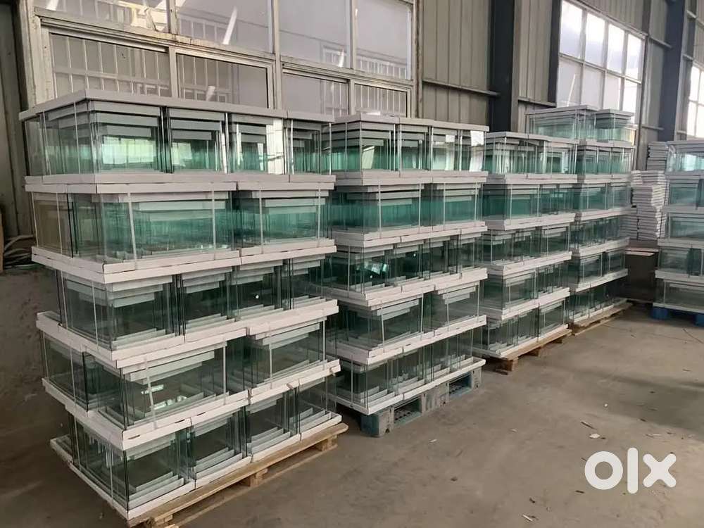 Aquarium Store Keeper or Supervisor