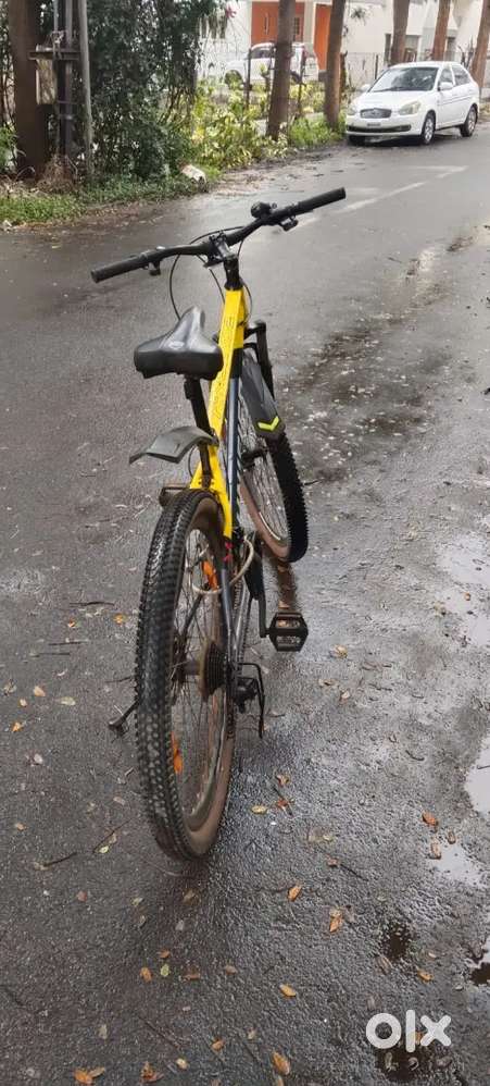 Hercules Roadeo Hank