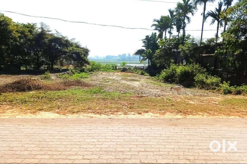 Beautiful Roadside Plot – Perfect for Home or Investment