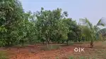 Plots for sale in tiruttani fame house