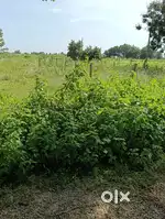 Residential Land sale
