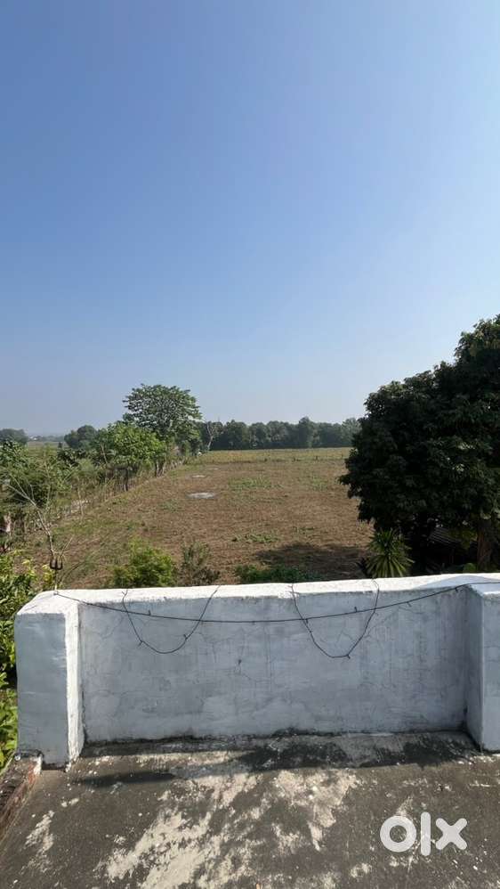 5 Bigha Land for Sale in Bindukhatta
