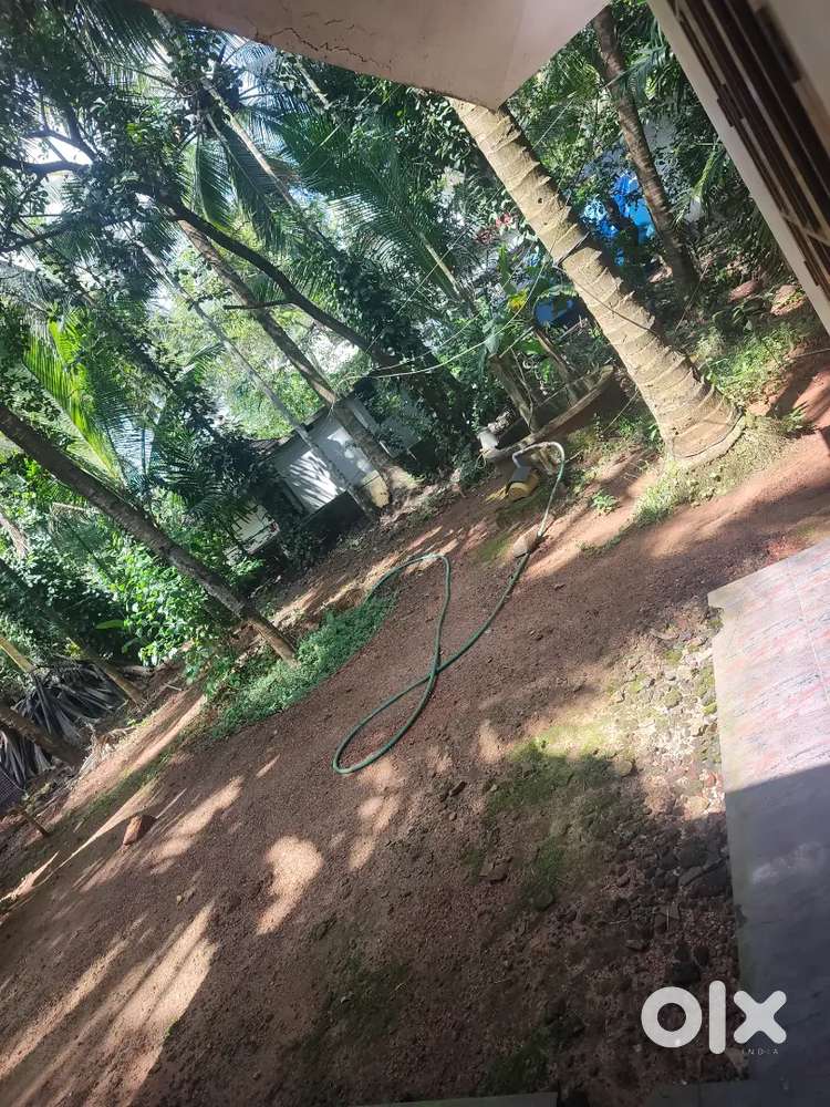 29 cent plot.  Kochi,near vyttila Hub