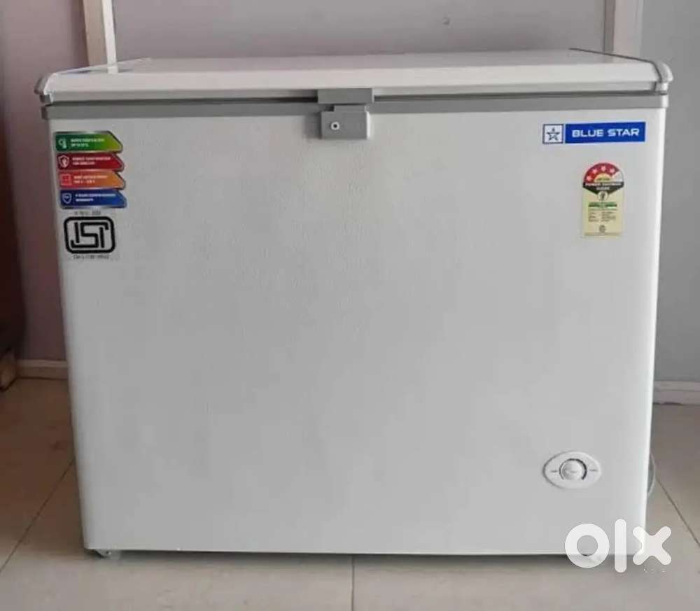 200 lir Deep freezers blue Star