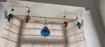 Glass lantern