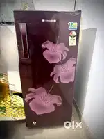 Kelvinator Fridge