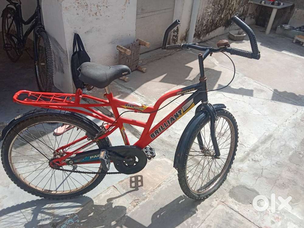 Parrot bike
