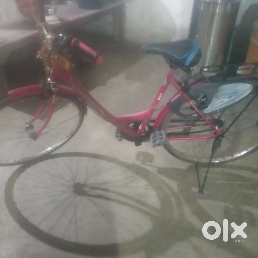 Ladi cyckle