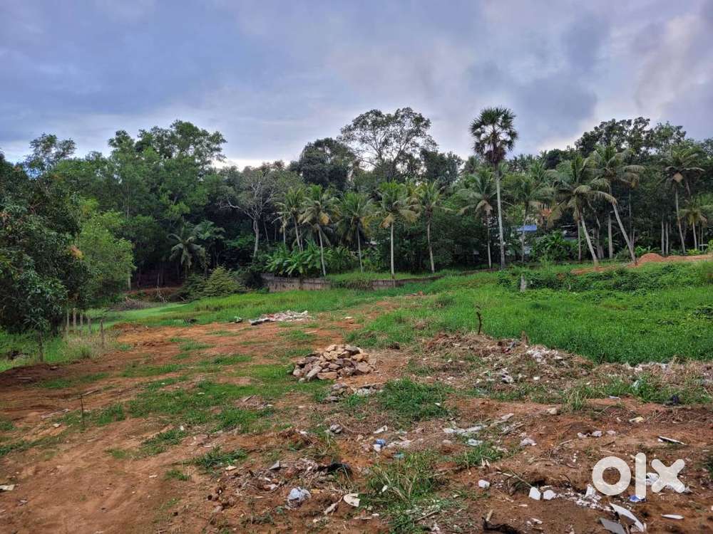 62.5 cents, Plot for Sale at Calicut
