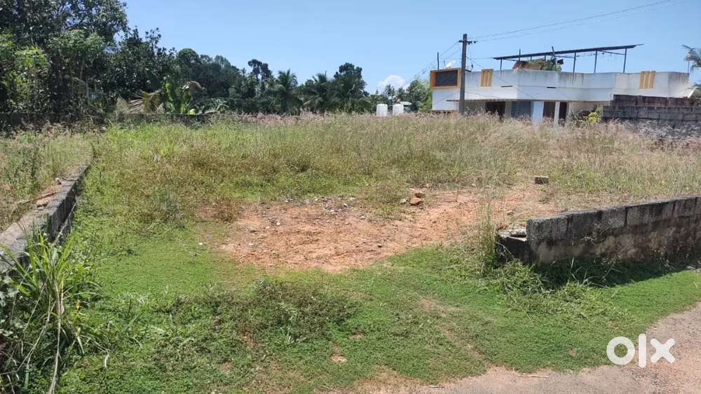 3 Cents or 5.5 Cents Plot For Sale at Sangamam Nagar, Sreevaraham
