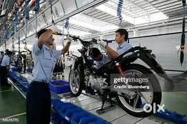 250 vacancy available for manufacturing company