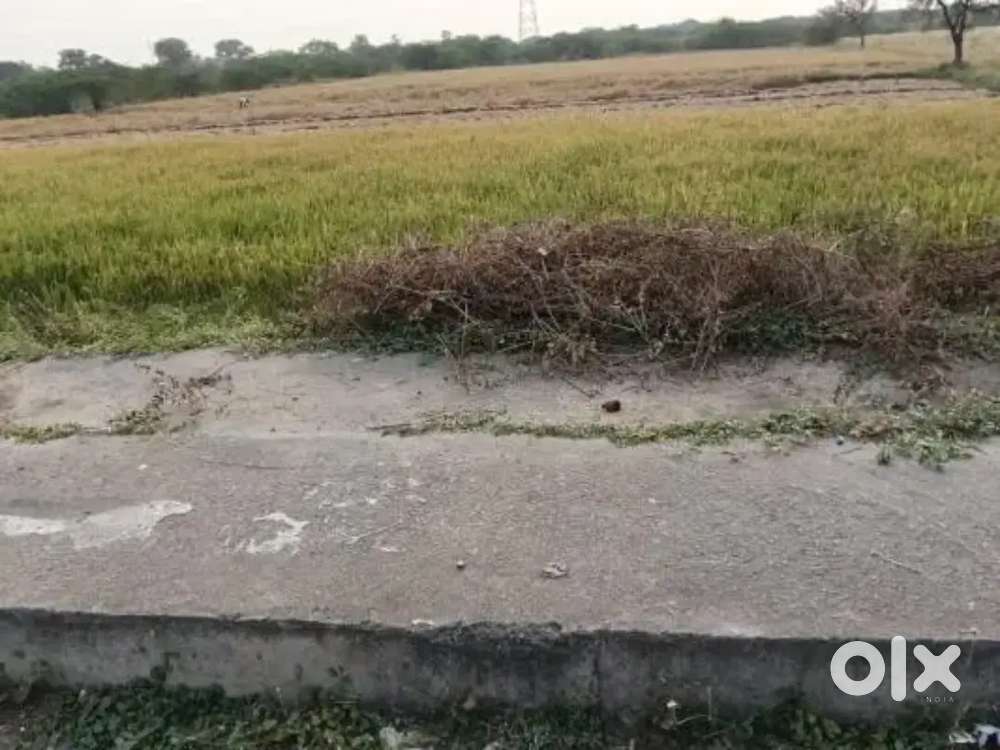 8 beegha land in Dhulakuwa for sale