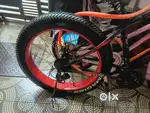 Foxster bicycle big tyre