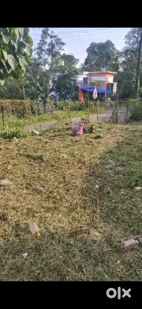 Land for sale in punaloor