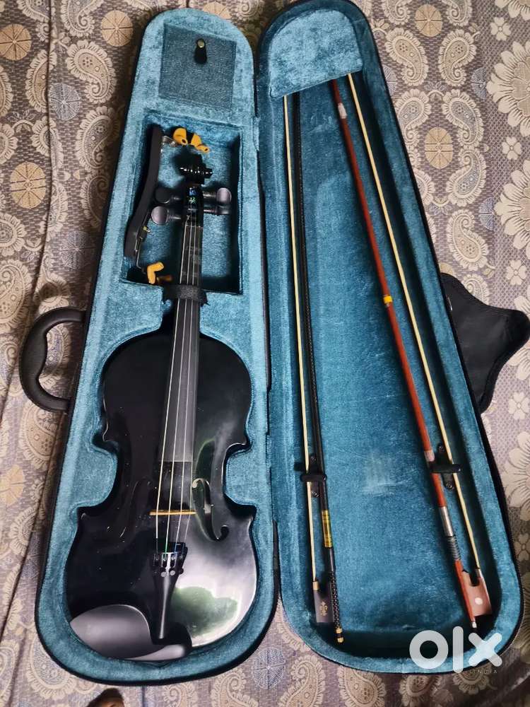 Violen with all accessories