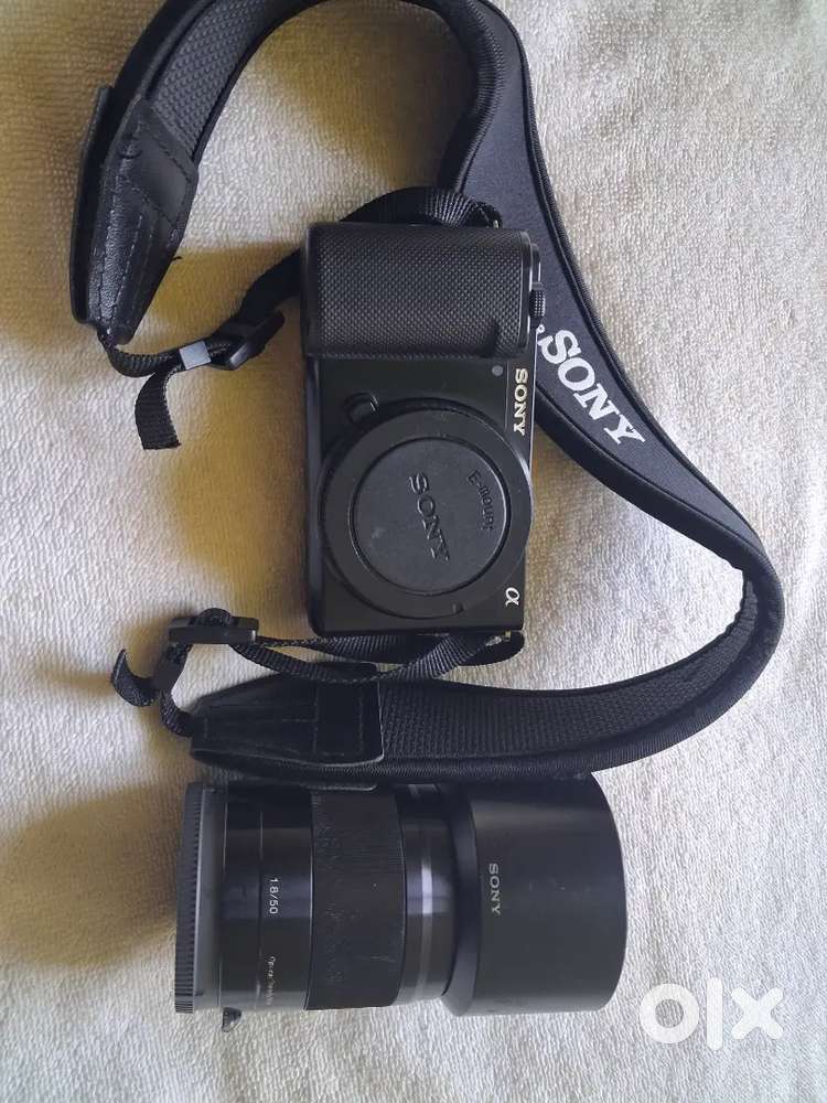 Sony ZVE10 with Prime lens