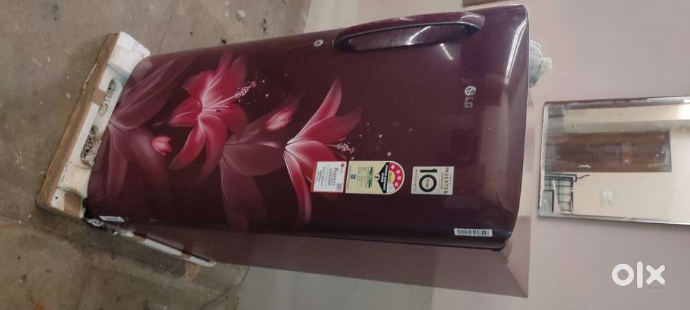 The LG 185L refrigerator comes with a drawer