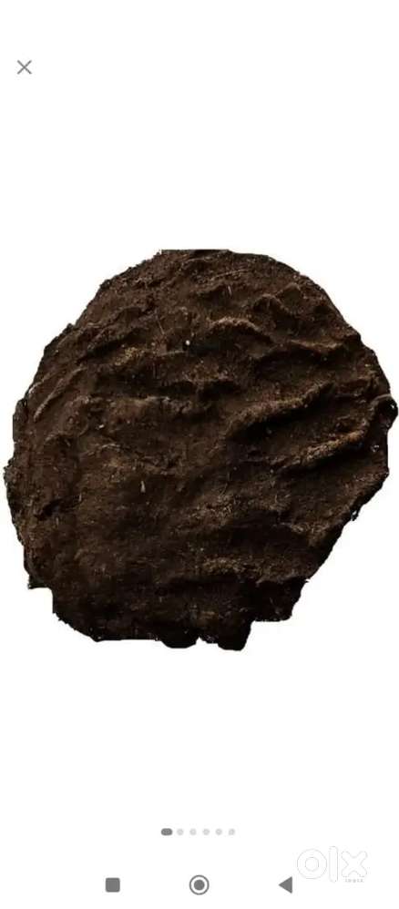 Cow dung cake