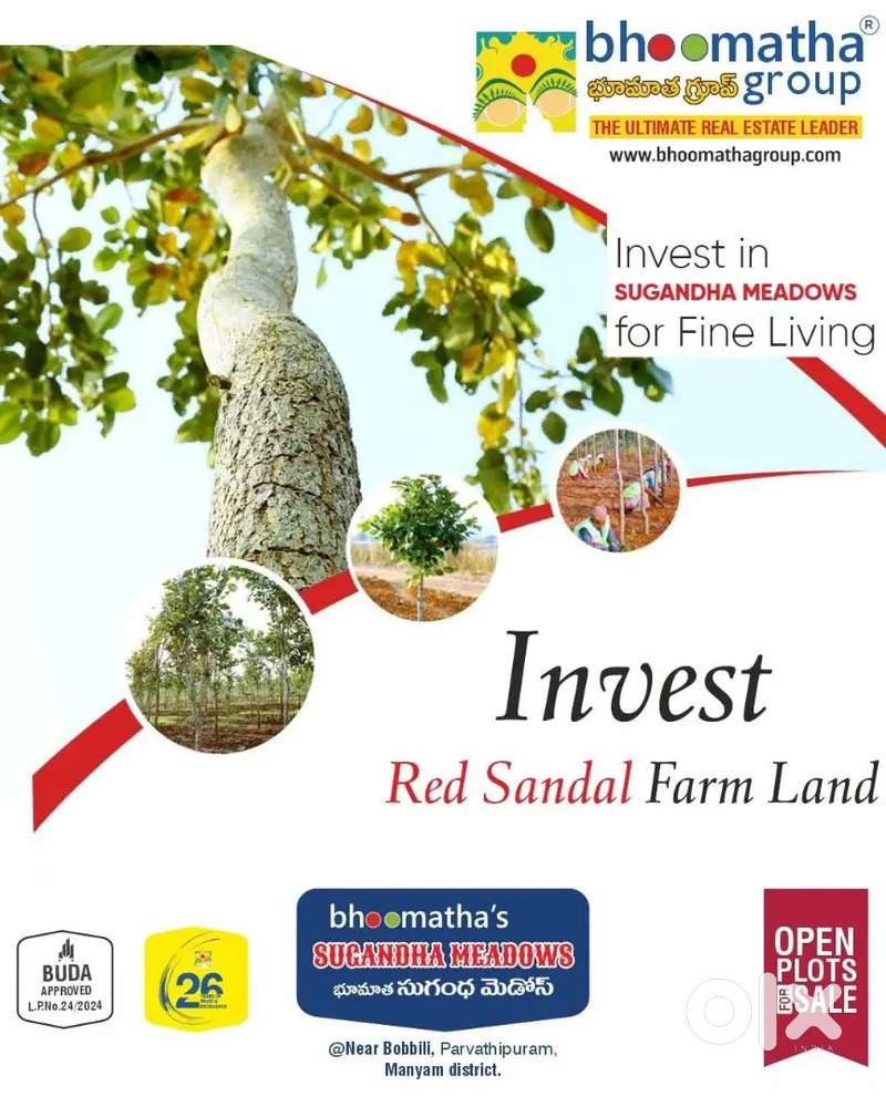 Bobbili BUDA APPROVED Famalad