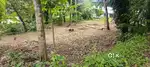 11 Cent Square Plot for Sale in Seematy, Chathanoor – ₹1.50 Lakhs/Cent