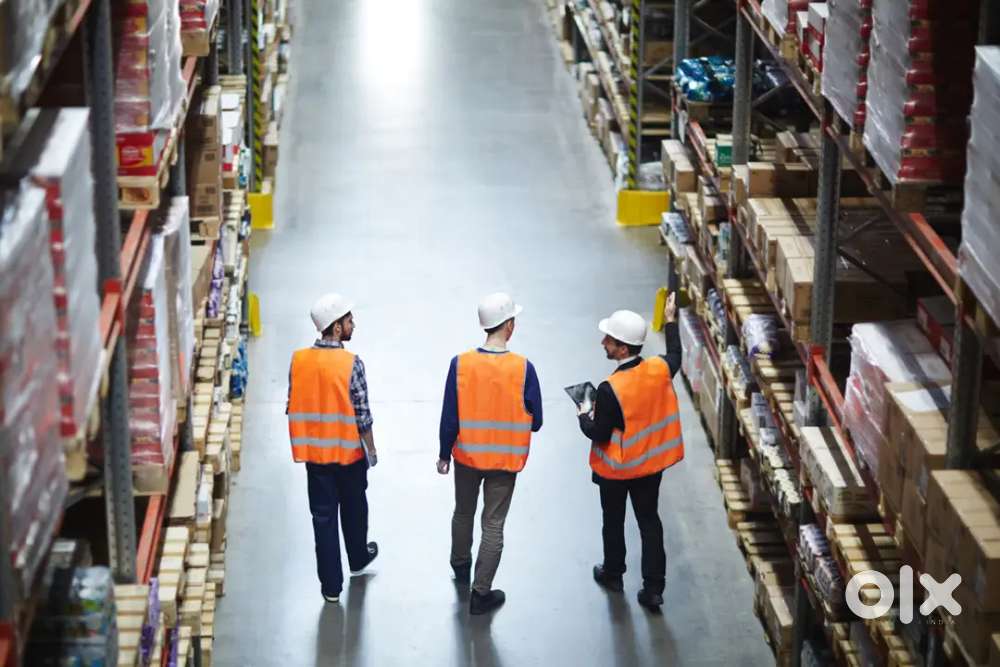 LOOKING FOR FRESHERS WAREHOUSE COMPANY