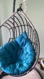 Swing with Cushion